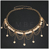 Ethnic Style Alloy Coin Tassel Waist Chains for Women FS-WGA1C87-01-1