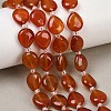 Natural Carnelian Beads Strands G-K393-E02-10x12-1