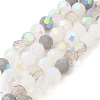 Electroplate Glass Beads Strands EGLA-P048-A03-1