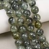Natural Prehnite Beads Strands G-P322-48-12mm-5