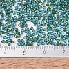MIYUKI Delica Beads X-SEED-J020-DB2381-4