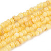Natural Freshwater Shell Dyed Beads Strands SHEL-T020-29B-08-1