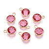 Golden Tone Brass Glass Charms GLAA-ZX008-24J-G-1