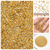 3000Pcs Glass Seed Beads SEED-PA0001-29B-04-5