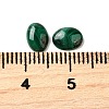 Natural Malachite Cabochons G-E557-03P-3