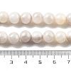 Natural Persian Jade Beads Strands X-G-A255-A02-02K-2