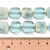 Natural Glass Beads Strands G-Z106-E01-5