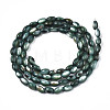 Natural Freshwater Shell Beads Strands X-SHEL-N003-25-B01-2