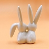 Porcelain Rabbit Sculpture Display Decorations PW-WG617B0-01-2