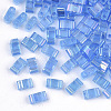 2-Hole Transparent Glass Seed Beads SEED-T004-04B-01-1