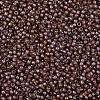 TOHO Round Seed Beads SEED-XTR11-1850-2