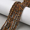 Natural Tiger Eye Beads Strands G-L651-C14-3mm-1
