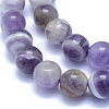 Natural Amethyst Beads Strands X-G-L552H-03B-2