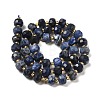 Natural Sodalite Beads Strands G-P508-A10-01-3
