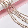 Drawbench Style Natural Freshwater Shell Beads Strands SHEL-F003-10A-2
