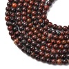 Natural Brecciated Jasper Beads Strands G-Z116-A15-3mm-4