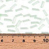 Glass Bugle Beads SEED-N007-28G-4