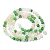 Electroplate Glass Beads Strands EGLA-D018-02B-2