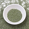 MIYUKI Delica Beads X-SEED-J020-DB0263-2