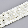 Natural Trochid Shell/Trochus Shell Beads Strands SSHEL-N041-04B-01-1