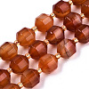 Natural Agate Beads Strands G-T131-82B-13-1