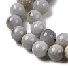 Natural Gemstone Beads Strands G-L641-A01-02-4