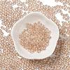 Glass Seed Beads SEED-H002-C-A040-2