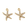 304 Stainless Steel with Crystal Rhinestone Charms STAS-G358-05G-06-1