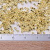 MIYUKI Delica Beads Small SEED-J020-DBS0042-4
