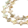 Drawbench Style Natural Freshwater Shell Beads Strands X1-BSHE-G036-01-3