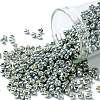 TOHO 8/0 Round Beads X-SEED-TR08-PF0565-1