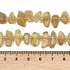 Natural Yellow Apatite Beads Strands G-L657-E06-01-5