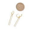 2 Pairs 201 Stainless Steel Leverback Earrings EJEW-JE06912-3