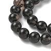 Natural Ice Obsidian Beads Strands X-G-P590-A03-10mm-03-4