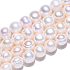 Natural Cultured Freshwater Pearl Beads Strands PEAR-N013-09C-3