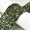 Natural Diopside Beads Strands LS-G-G188-B14-03-1