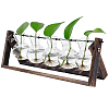 PET Bulb Shape Hydroponic Vase AJEW-WH0709-387B-1