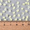 FGB Grade A Frosted Glass Seed Beads SEED-Q040-04A-11-6