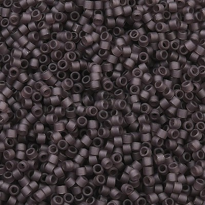 MIYUKI Delica Beads LS-X-SEED-J020-DB2405-1