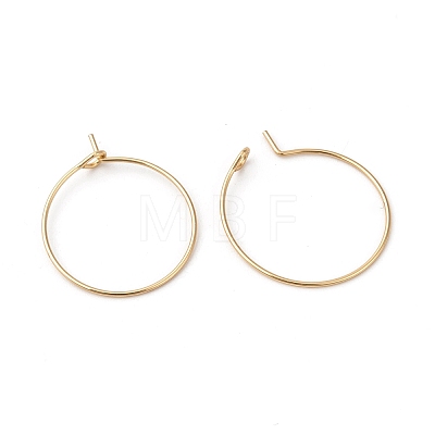 316L Surgical Stainless Steel Hoop Earring Findings STAS-G229-07G-04B-1