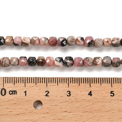 Natural Argentina Rhodonite Beads Strands LS-G-B107-B01-01-1