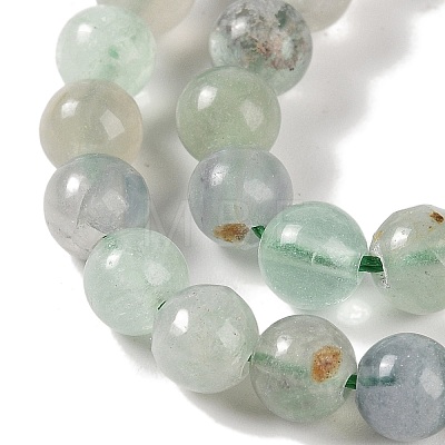 Natural Fluorite Beads Strands G-P530-B04-02-1