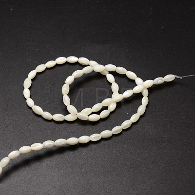 Natural Trochid Shell/Trochus Shell Beads Strands X-SSHEL-K008-06-1