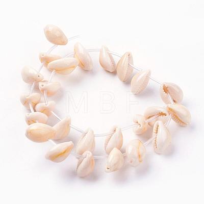 Natural Cowrie Shell Beads Strands BSHE-L036-32E-03-1