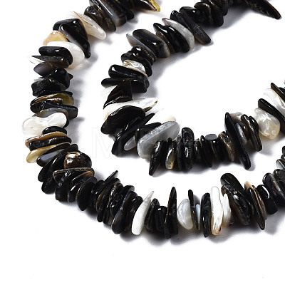 Natural Black Lip Shell Beads Strands SSHEL-S266-010-1
