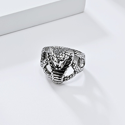 304 Stainless Steel Finger Rings for Men FS-WG0C893-02-1