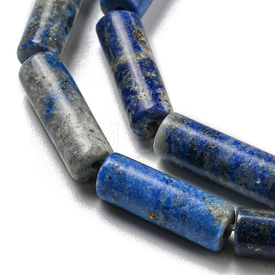 Natural Lapis Lazuli Beads Strands G-C084-B01-01-1