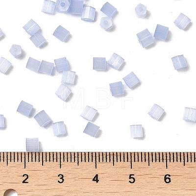 Glass Seed Beads X1-SEED-H002-D-A814-1