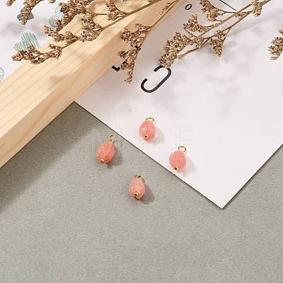 Synthetic Coral Charms PALLOY-JF00558-05-1