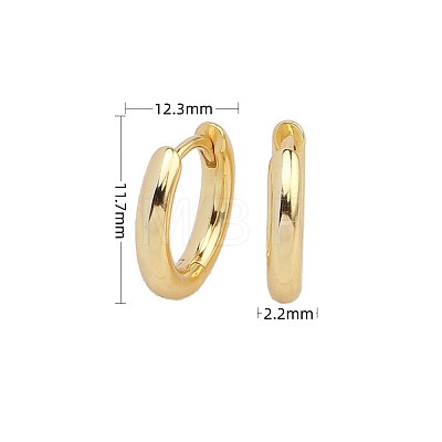 Minimalist Mobius Style 925 Silver Earrings for Casual Fashion Look ST3333695-1